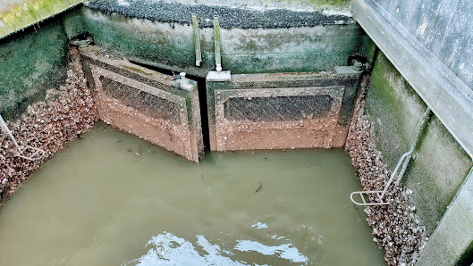 Hafen Fedderwardersiel – Bild