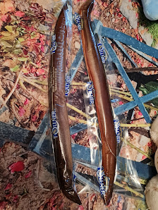 Töllners Edelfisch GmbH & Co KG – Bild