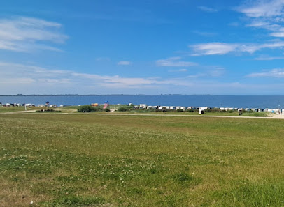 naturnaher Strand – Bild