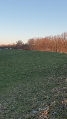 Wohnmobilhafen an der Ostdüne – Bild
