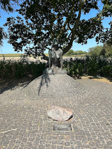 Seewiefken – Bild