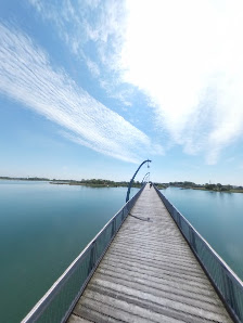 Wangermeer – Bild