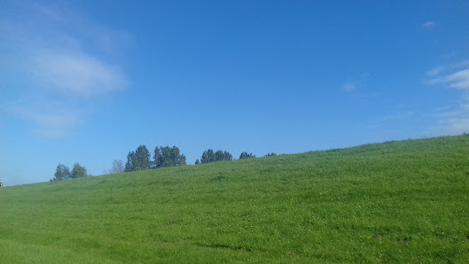 Ferienhaus Deichhäuschen – Bild