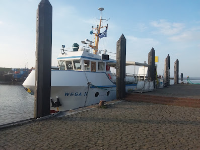 Piratenfahrt mit WEGA II – Bild