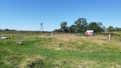 Friesengolf