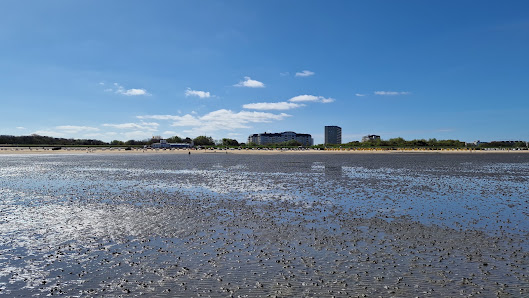 Nordseeküste – Bild