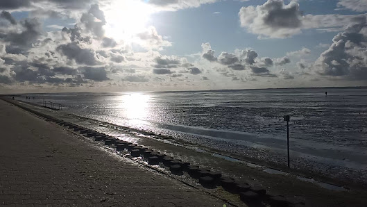Wattwanderzentrum Ostfriesland – Bild