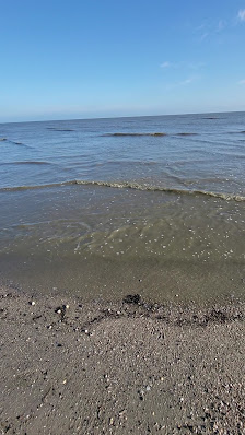 Parkplatz Natur-/ Hundestrand Schillig – Bild