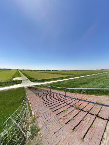 Wangerland – Bild