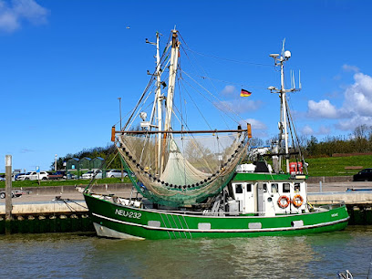 Rundfahrten mit dem Fischkutter Möwe