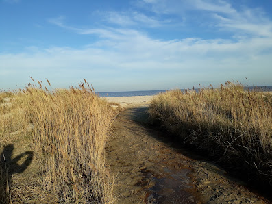www.deichkieker-fewo.de – Bild