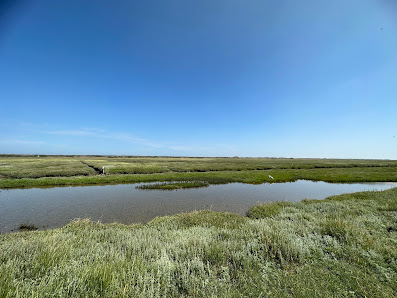 Seedeich/Deichschart (Treffpunkt Wattwanderung) – Bild