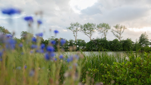 Schillhörn – Urlaub mit Wasserblick – Bild