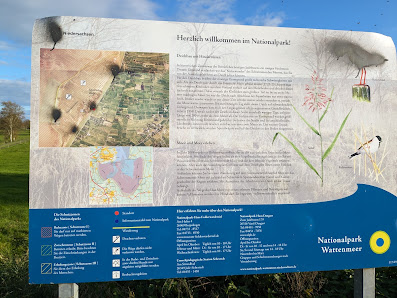 Schwimmendes Moor – Bild