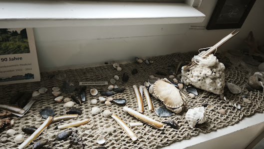 Muschelmuseum Hooksiel – Bild