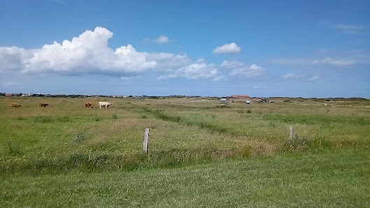 Seedeich/Deichschart (Treffpunkt Wattwanderung) – Bild