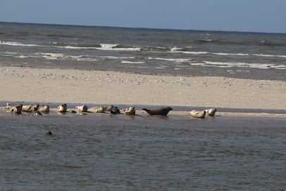 Nationalpark "Wattenmeer - Wangerland"