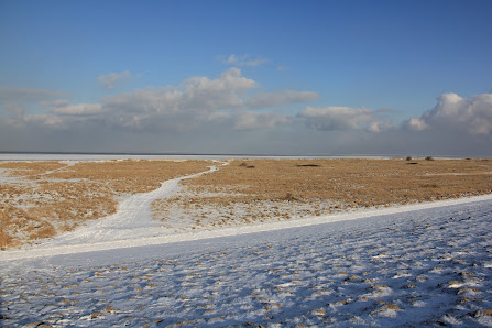 Unser Nordsee-Ferienhaus in Wangerland Schillig – Bild