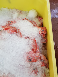 Sandor Seafood GmbH – Bild