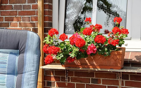 Ferienhaus Seebär Horumersiel – Bild