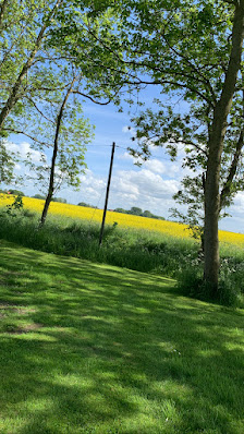 Bauernhof am Nordseedeich – Bild