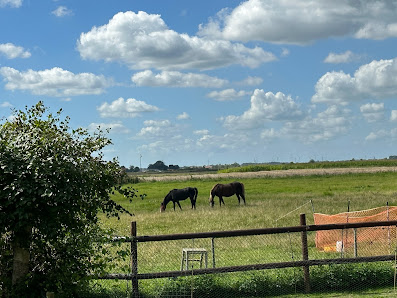 Ferienhof Renate Sassen – Bild