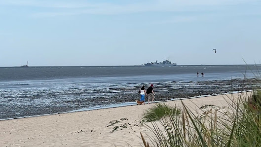 Wattenmeer – Bild