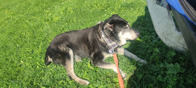 Hundestrand Horumersiel – Bild