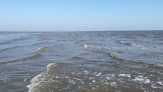 Wattenmeer – Bild