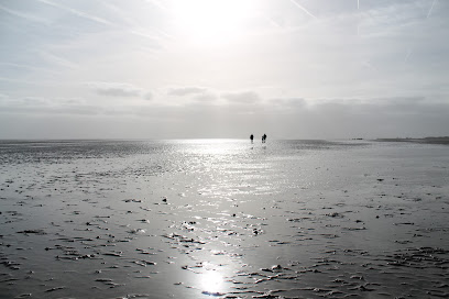 Petra Lösch - Wattwandern Wangerooge