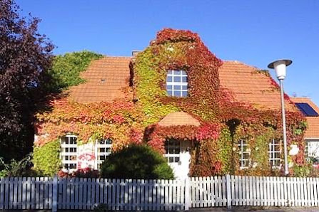 Ferienhaus "Menschen, Meehr & wilder Wein" – Bild