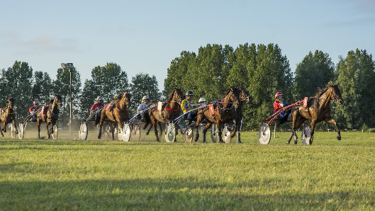 Hooksieler Rennverein e.V. – Bild