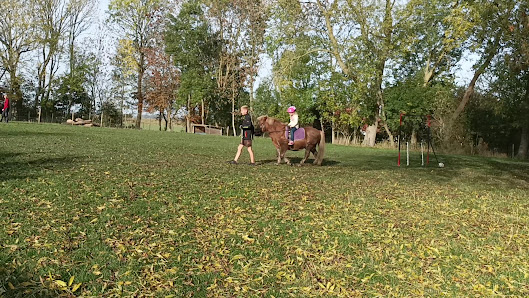 Ferienhof Gerdes – Bild