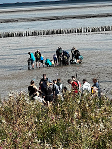 NATIONALPARK-HAUS "WATTENHUUS" BENSERSIEL – Bild