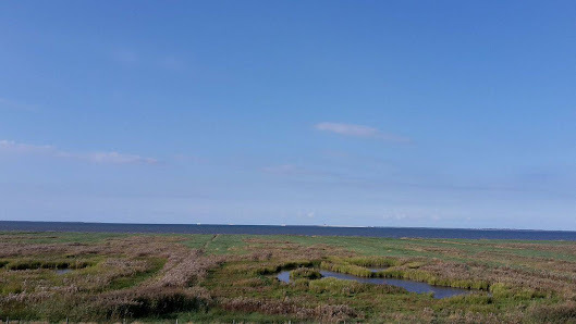 Lamahof am Sommerdeich – Bild