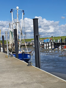 Ferienhaus Strandkorb Wremen – Bild