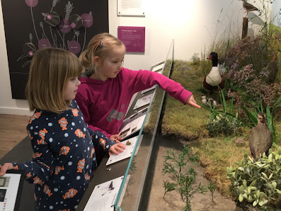 Nationalpark-Haus Museum Fedderwardersiel – Bild