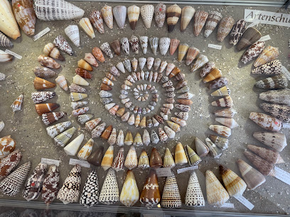 Muschelmuseum Hooksiel