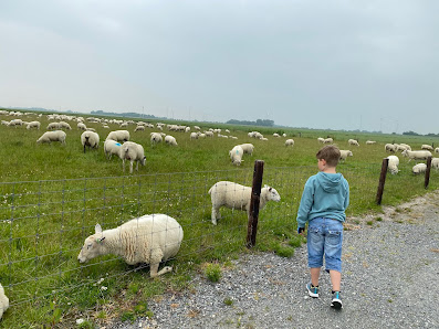 Ferienhof Janssen-Graalfs – Bild