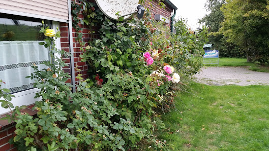 Pension Haus Hermann – Bild
