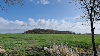 Wiesenbatterie Schillig