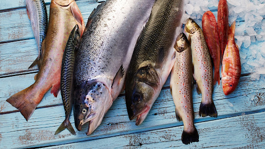 Deutsche See Fischmanufaktur – Bild