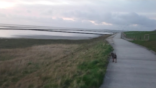 Nationalpark "Wattenmeer - Wangerland" – Bild