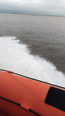 Speedboot-Safari & Segeltörns Wasserwelt Bremerhaven – Bild