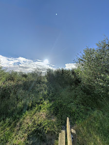 Wohnmobilhafen an der Ostdüne – Bild