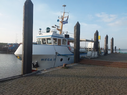 Piratenfahrt mit WEGA II