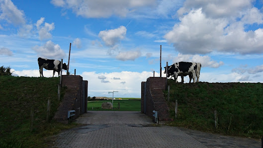Hof zwischen den Deichen – Bild