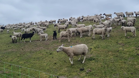 Upstalsboom Ferienwohnungen NordseeResort Friesland – Bild