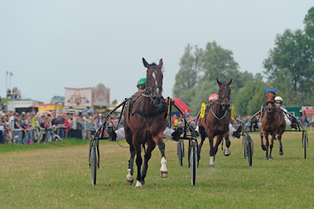 Pferderennbahn Hooksiel – Bild