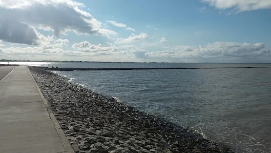 Nationalpark-Erlebnisstation Sehestedt – Bild